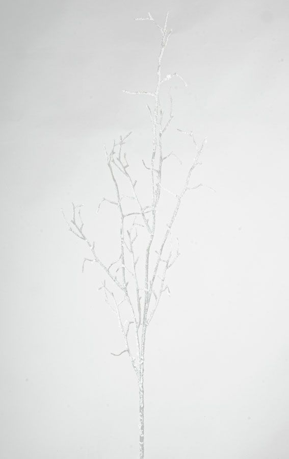 twig with snow 