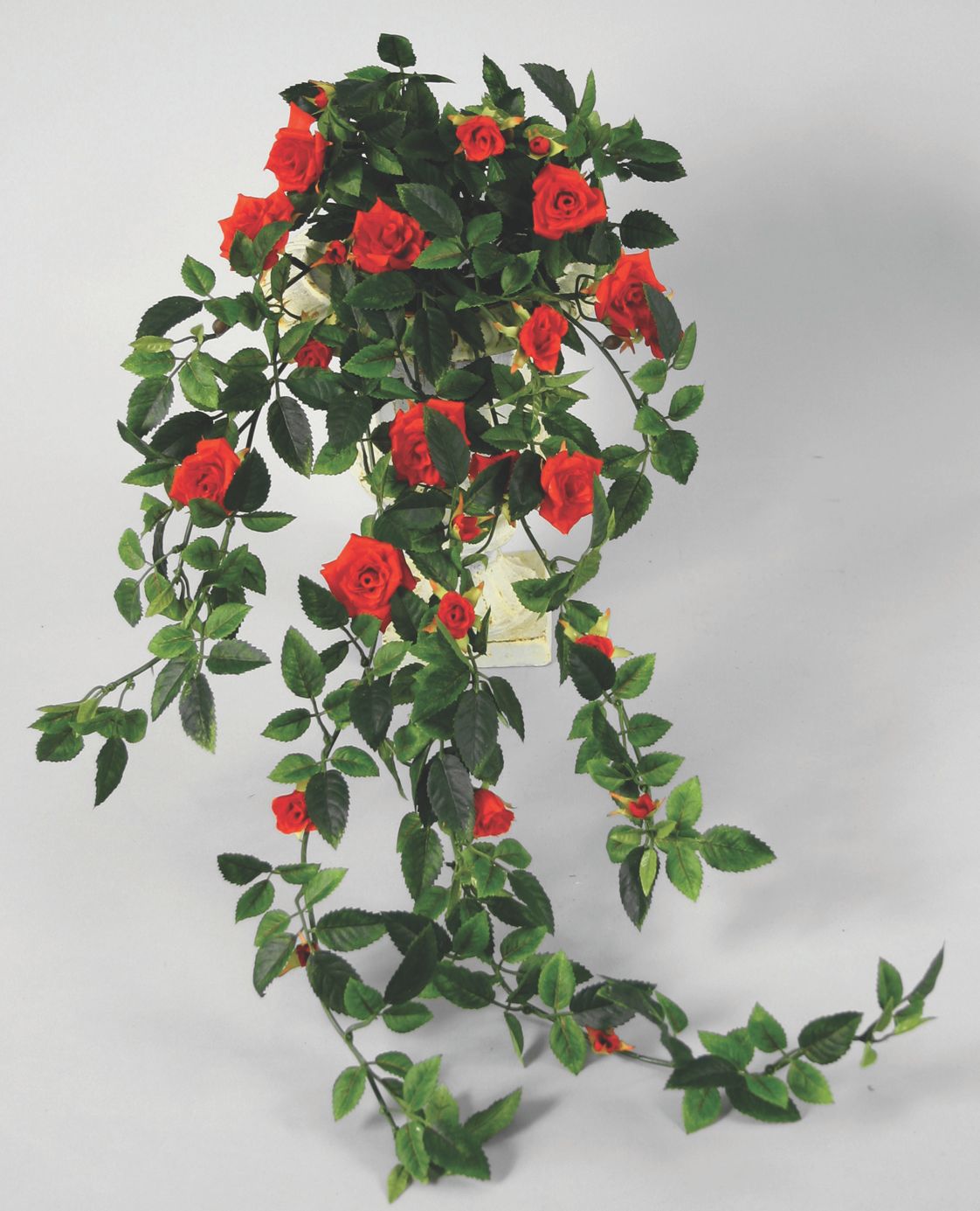 Mini Rose