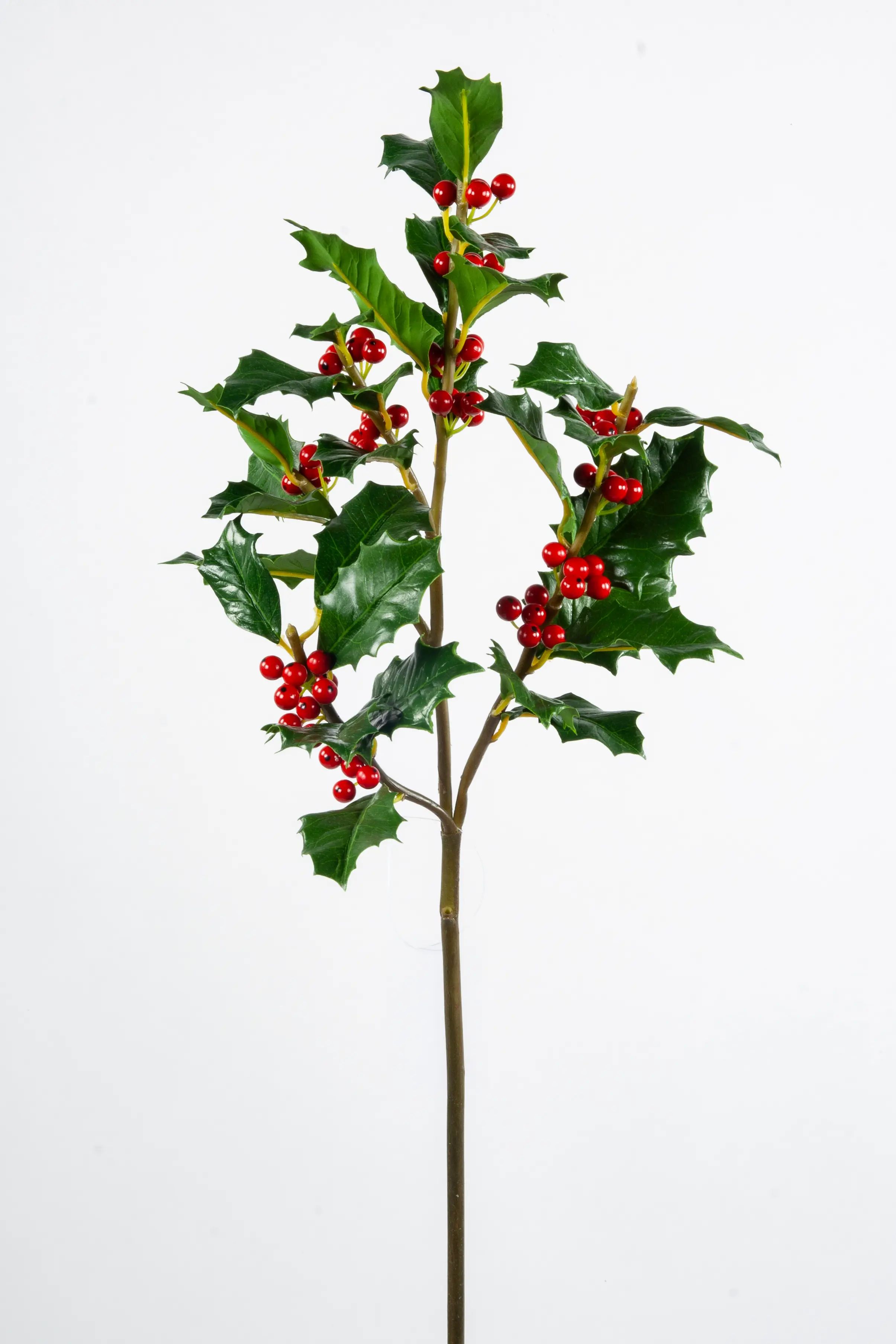 Holly Spray