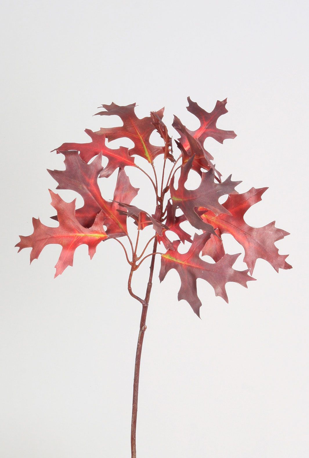Antler Leaf