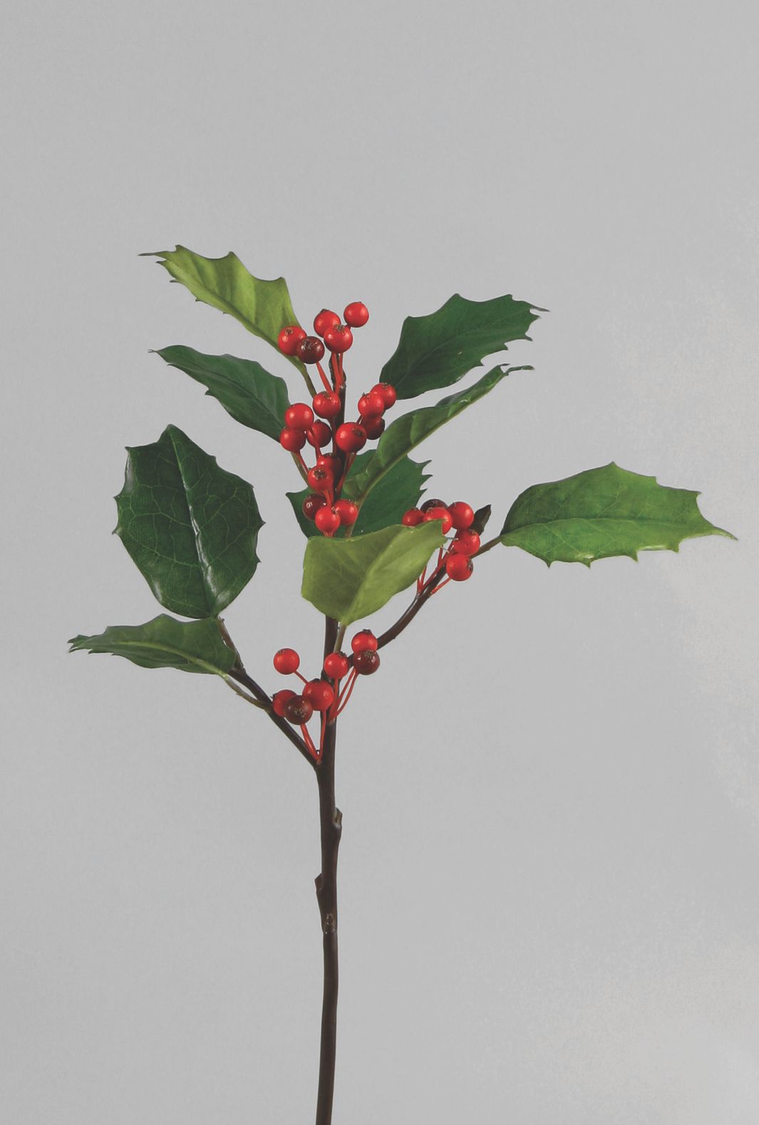 holly spray 