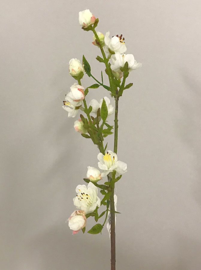 mini peach pick cream 