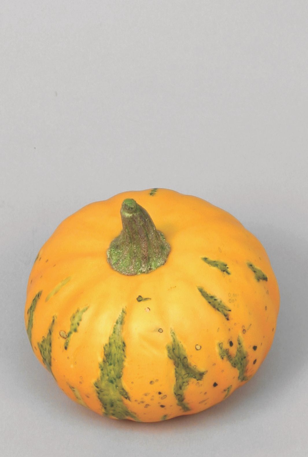 gourd 
