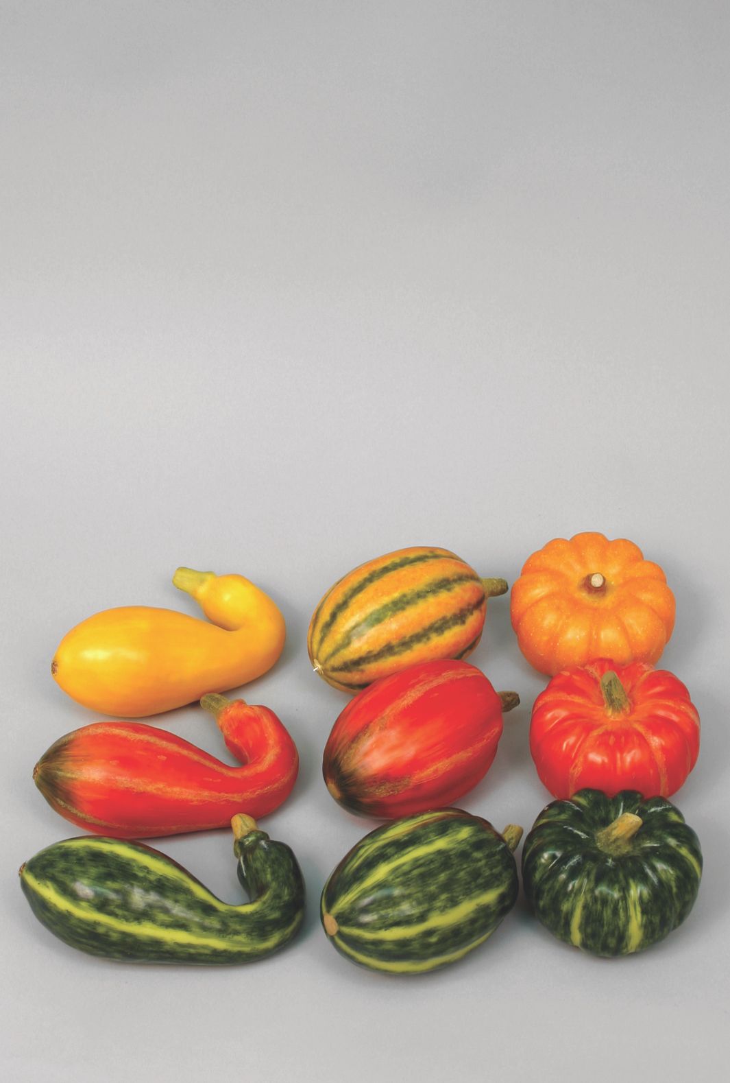 9 assorted pumpkins 