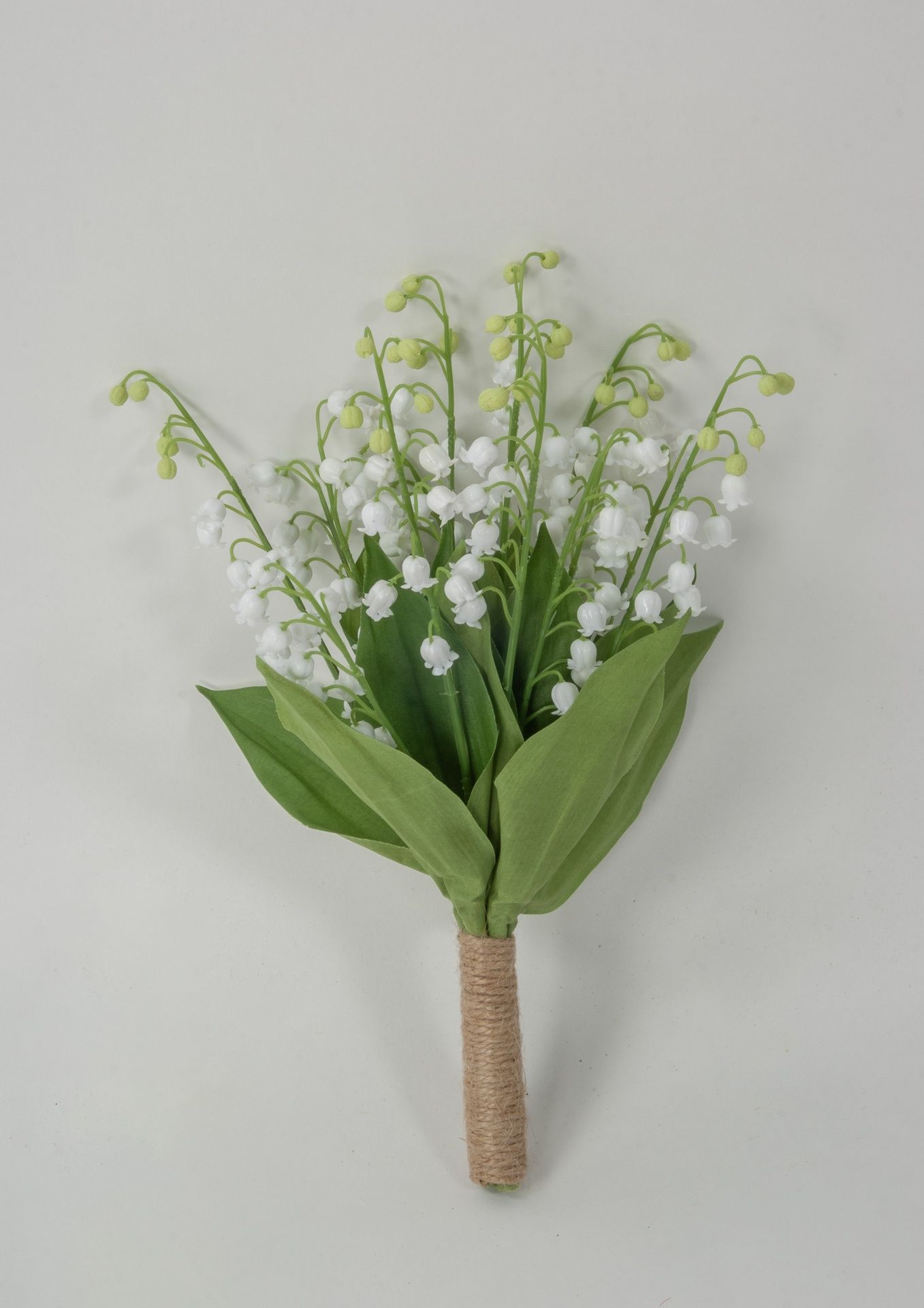 lilly of valley bush 