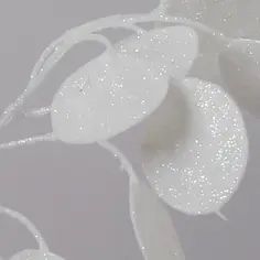 silver dollar cream 