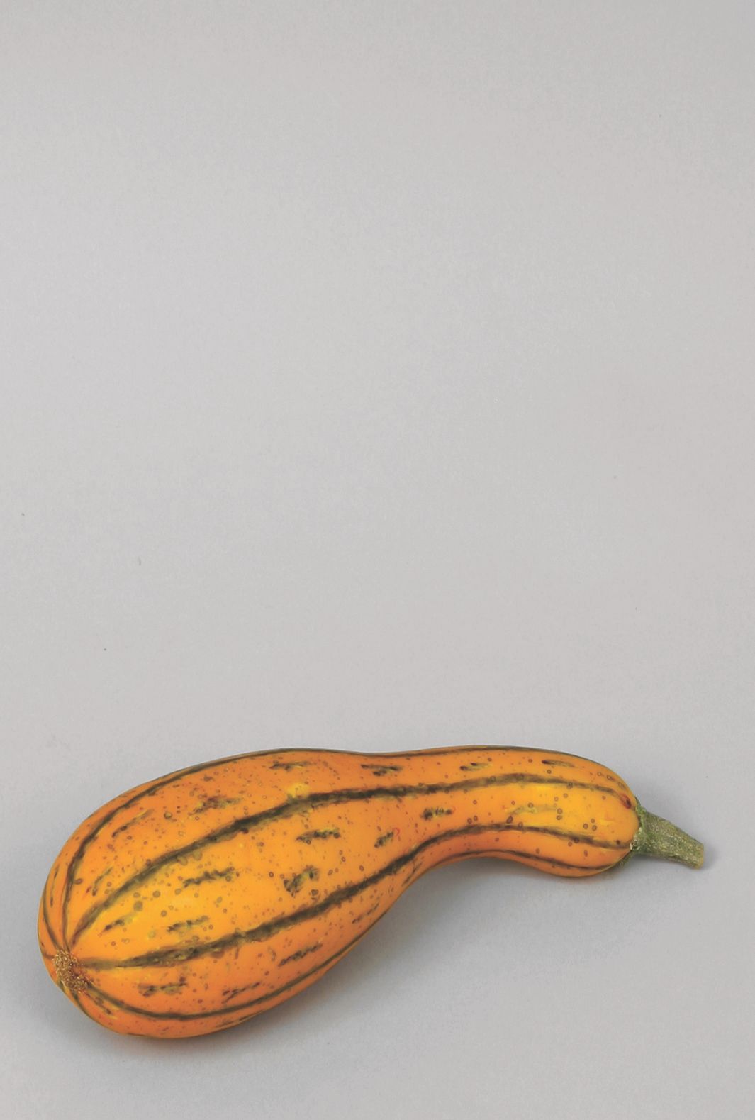 gourd neck 
