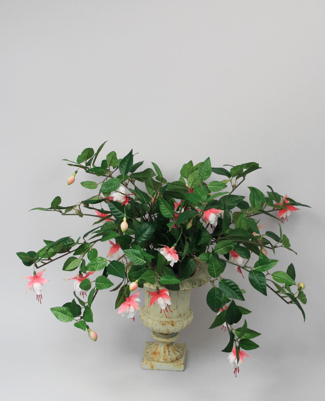 Fuschia 