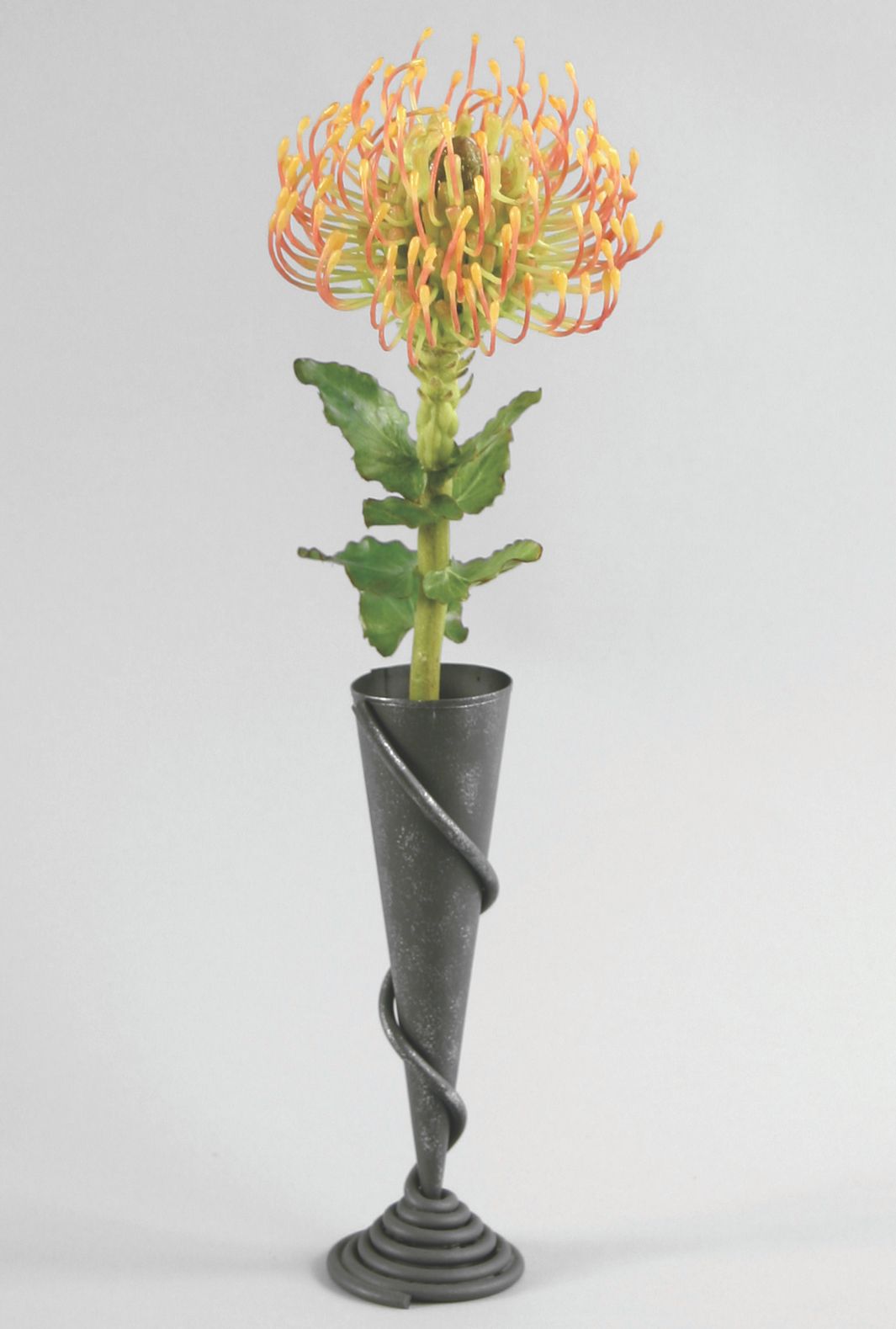 protea in vase 