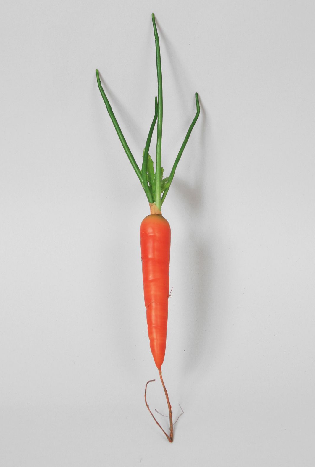 danvers carrot 