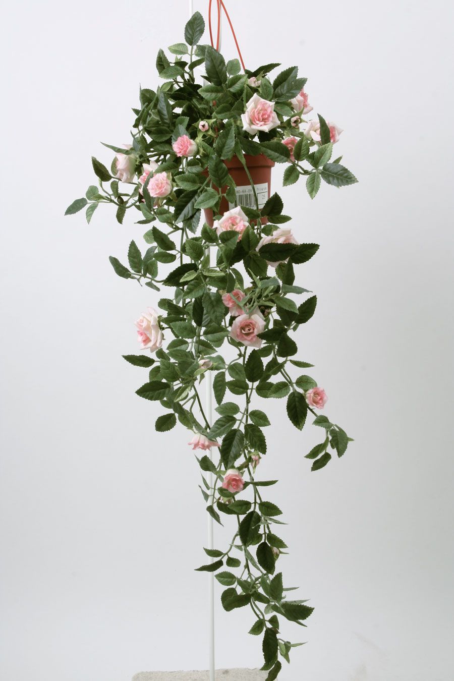 127-1-09 Mini Rose | Living Home