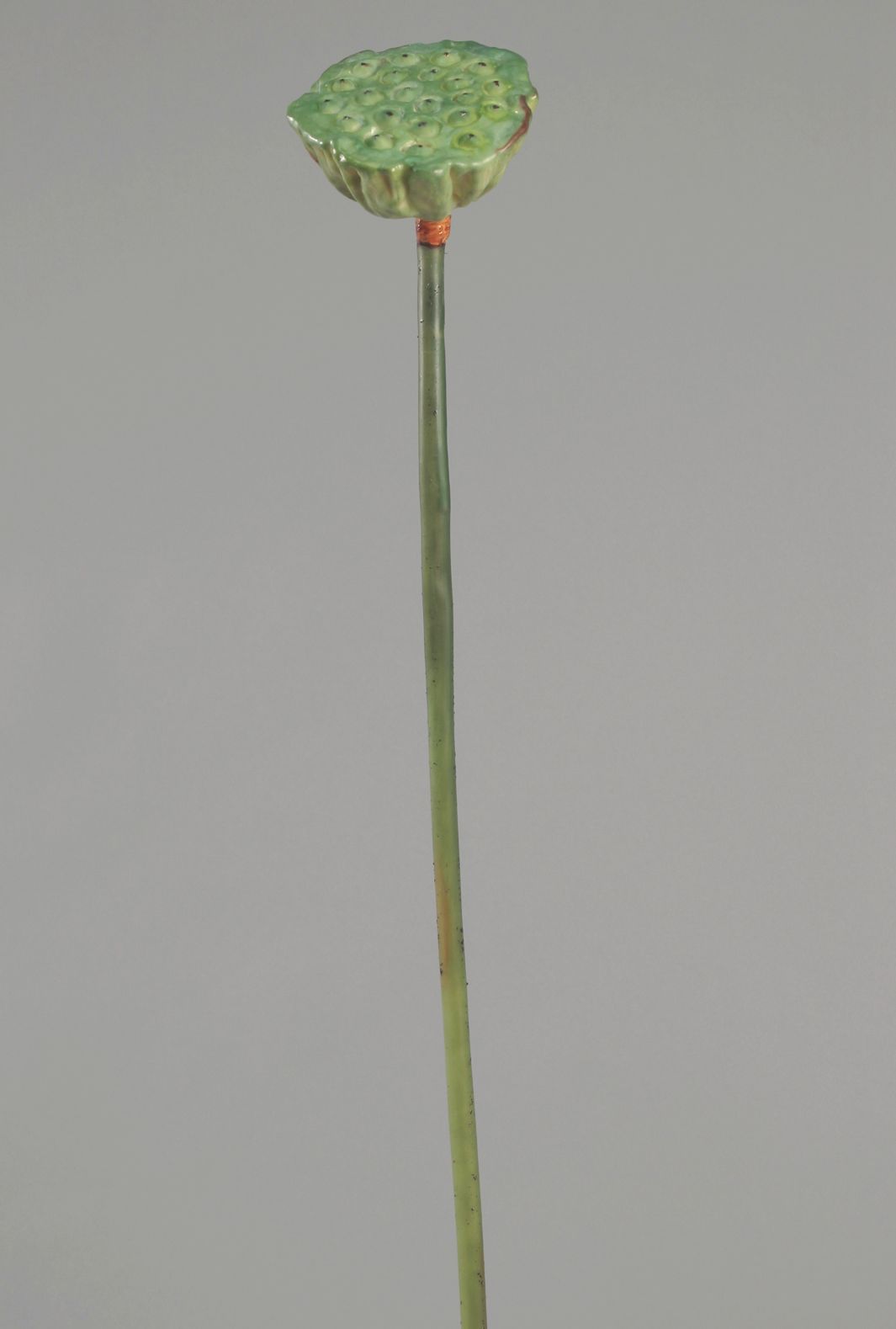 lotus green 