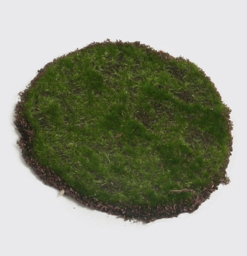 Moss