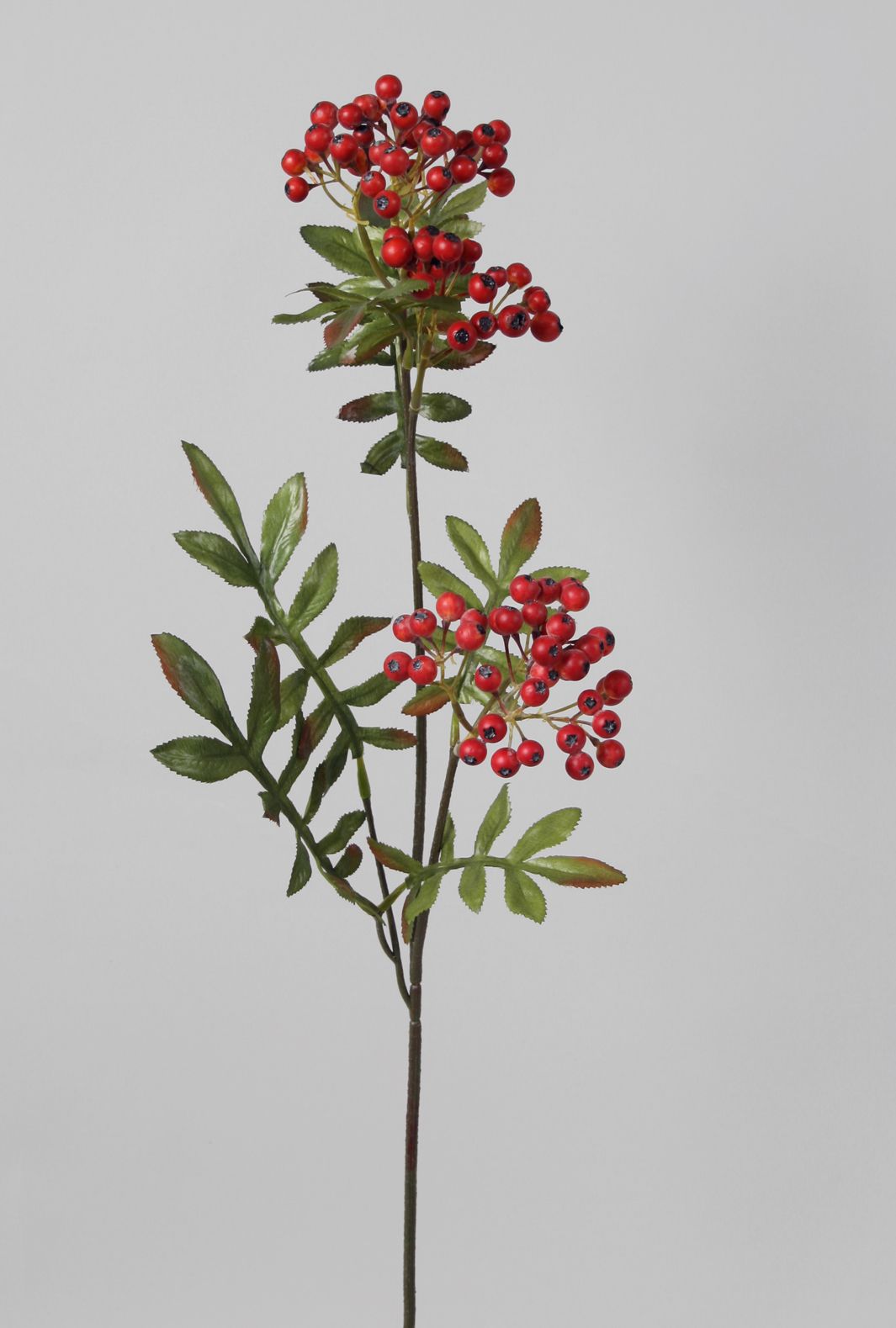 Rowan Berry