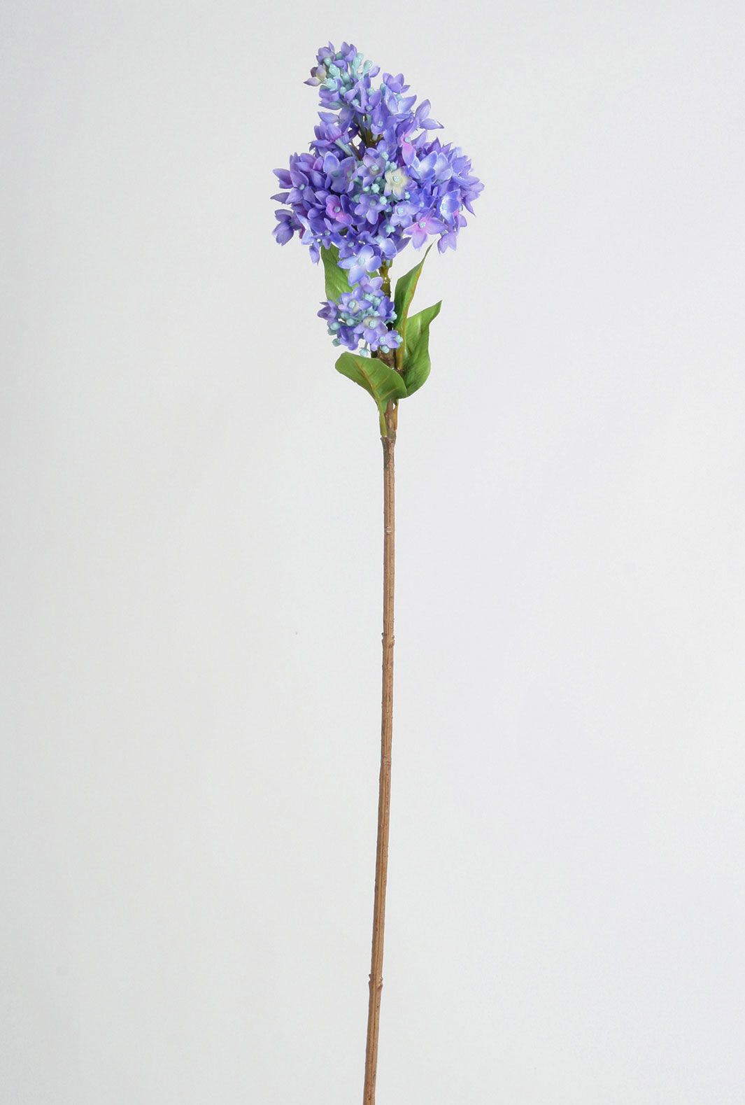 Lilac spray