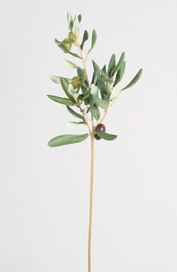 olive spray 