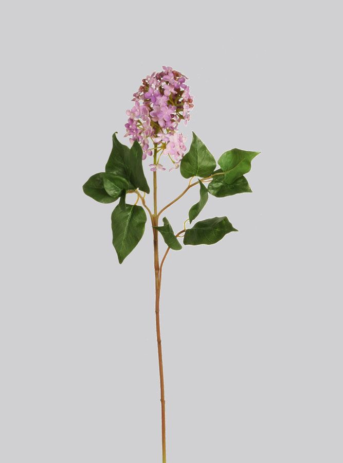 Lilac Spray