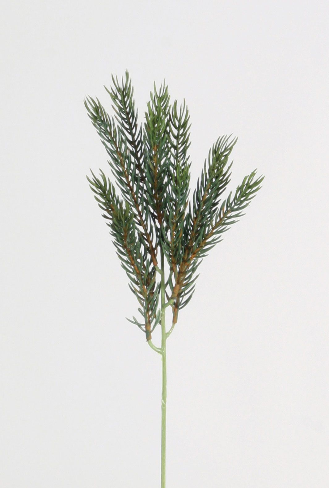 picea pick 