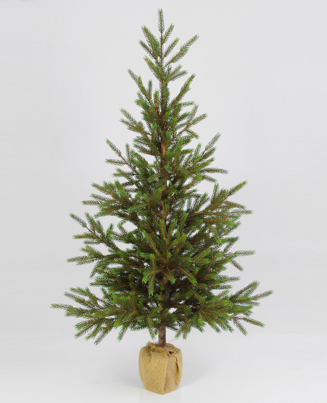 Picea Tree Small