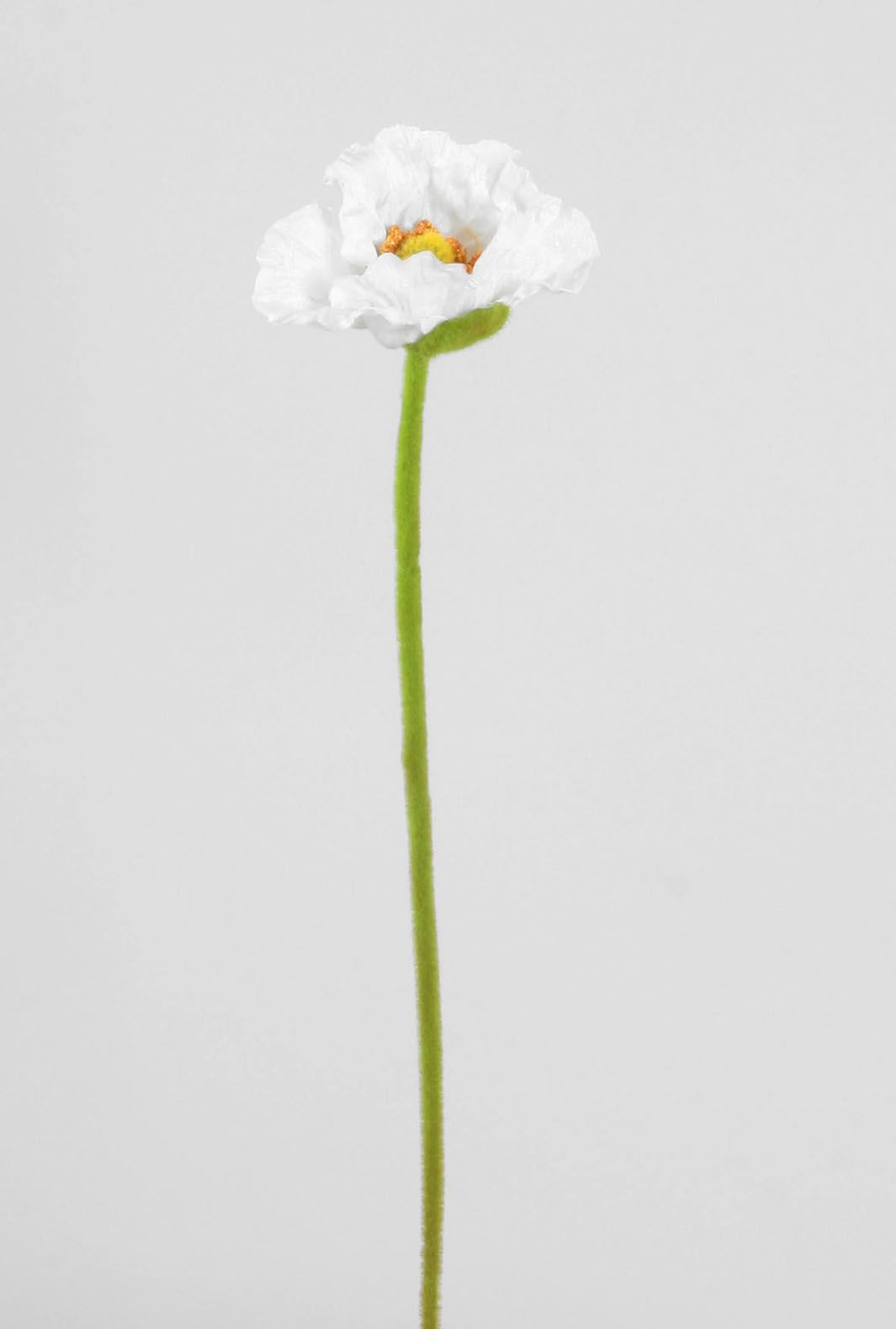 Poppy spray