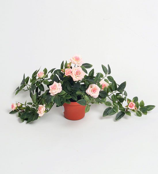 mini diamond rose