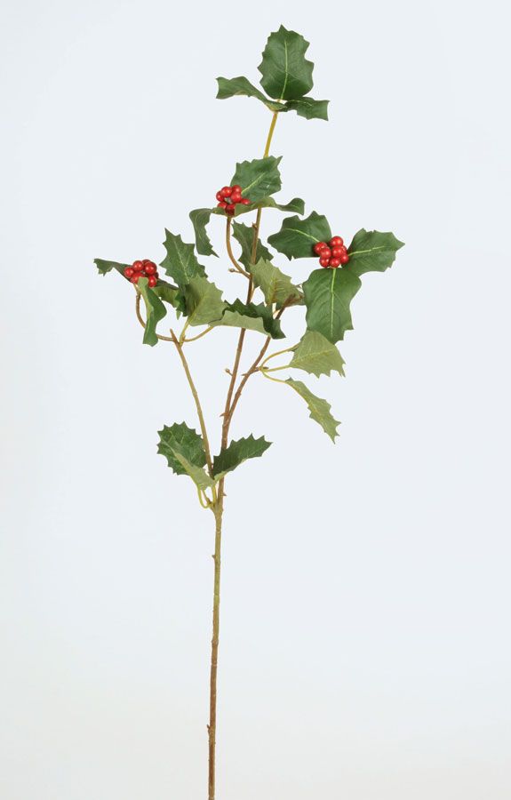 holly leaf 