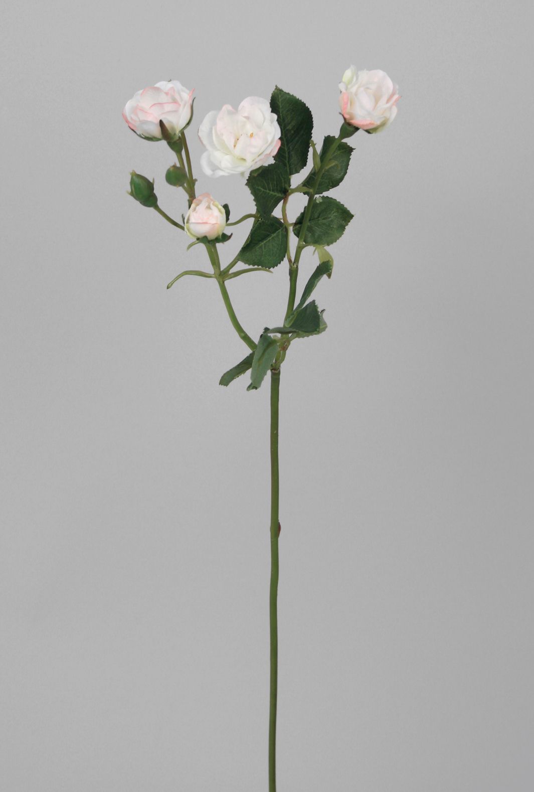 Rose spray