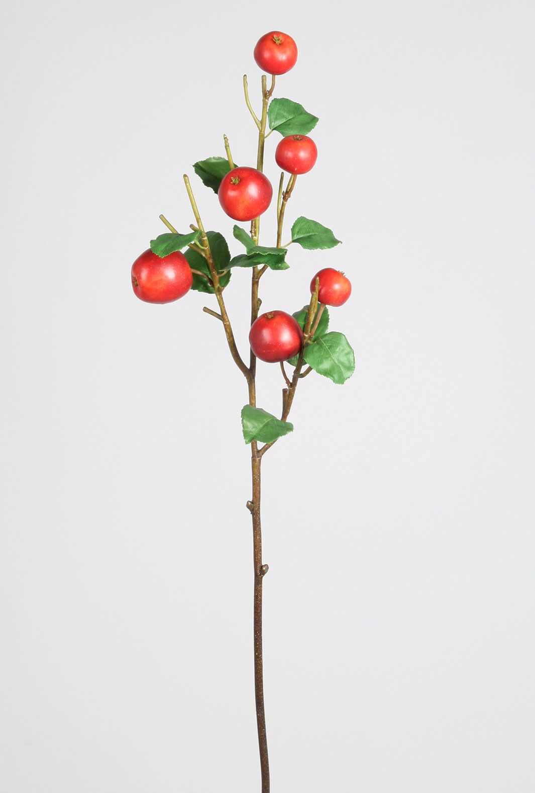 apple spray 