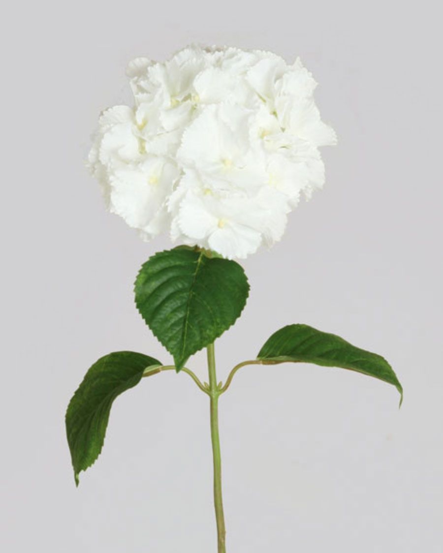 hydrangea spray