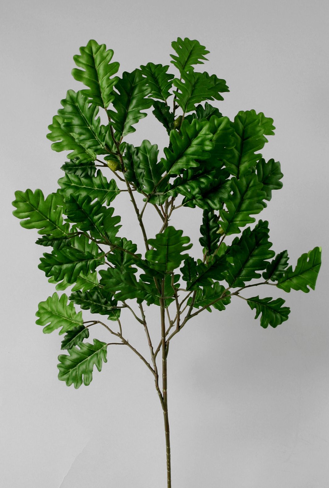 oak spray 
