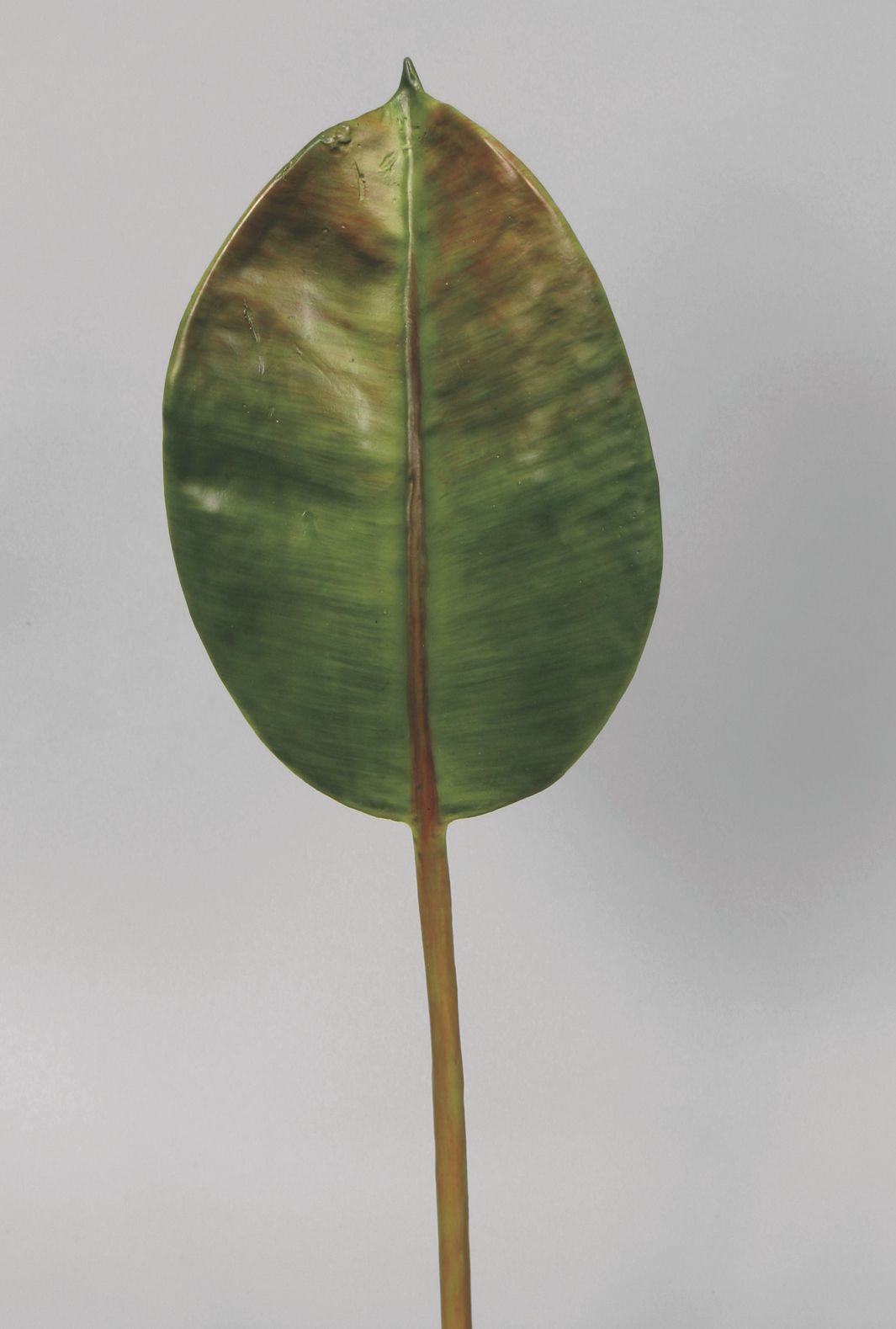 Rubber Leaf