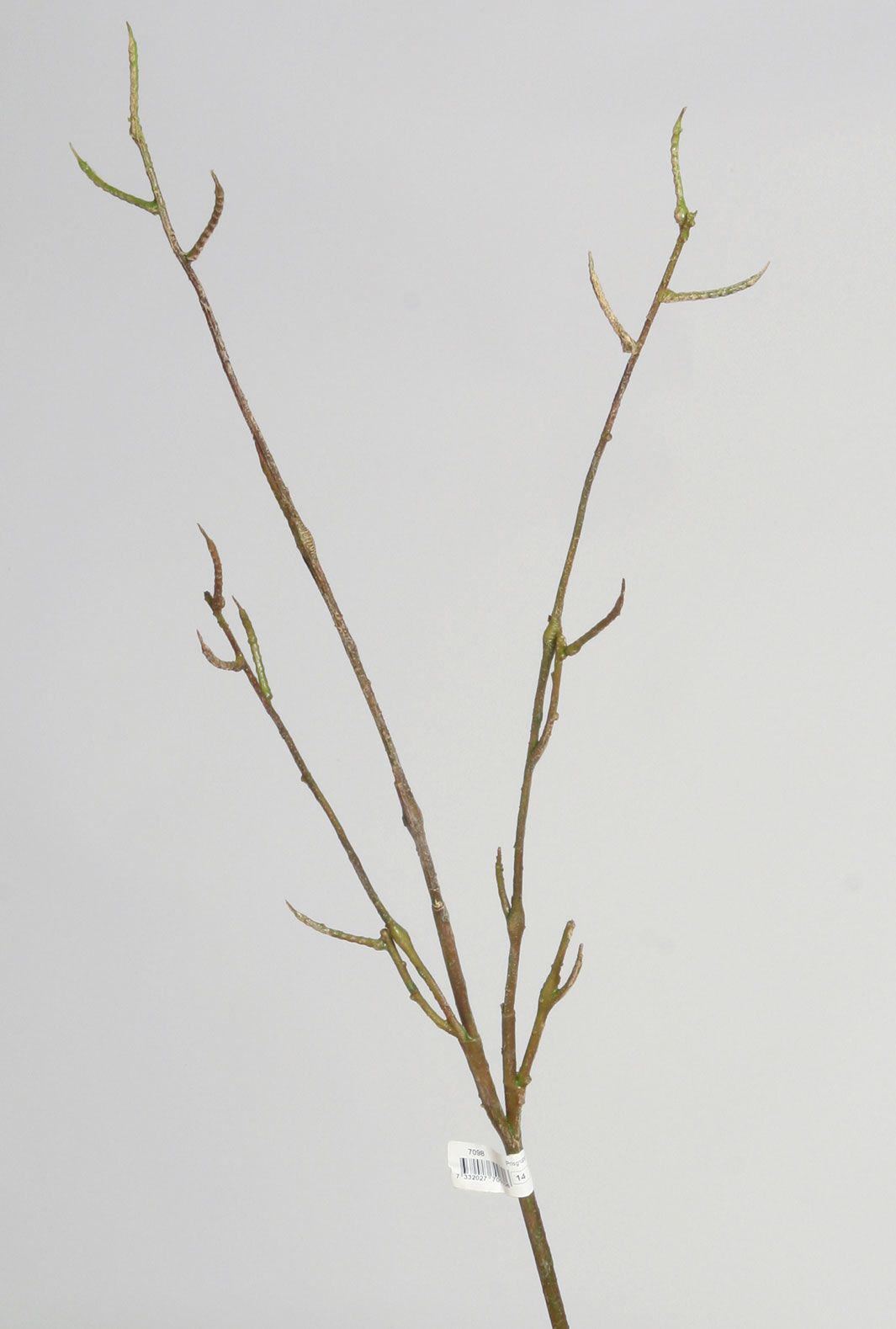 Birch spray 