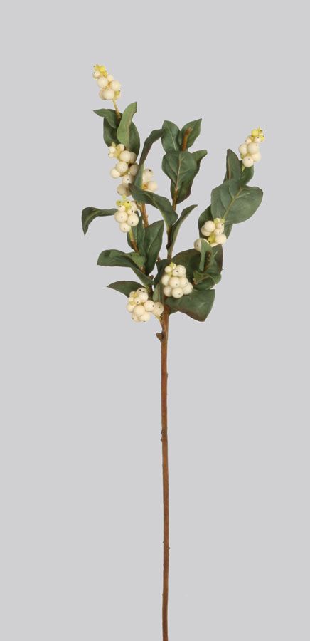 snowberry cream 