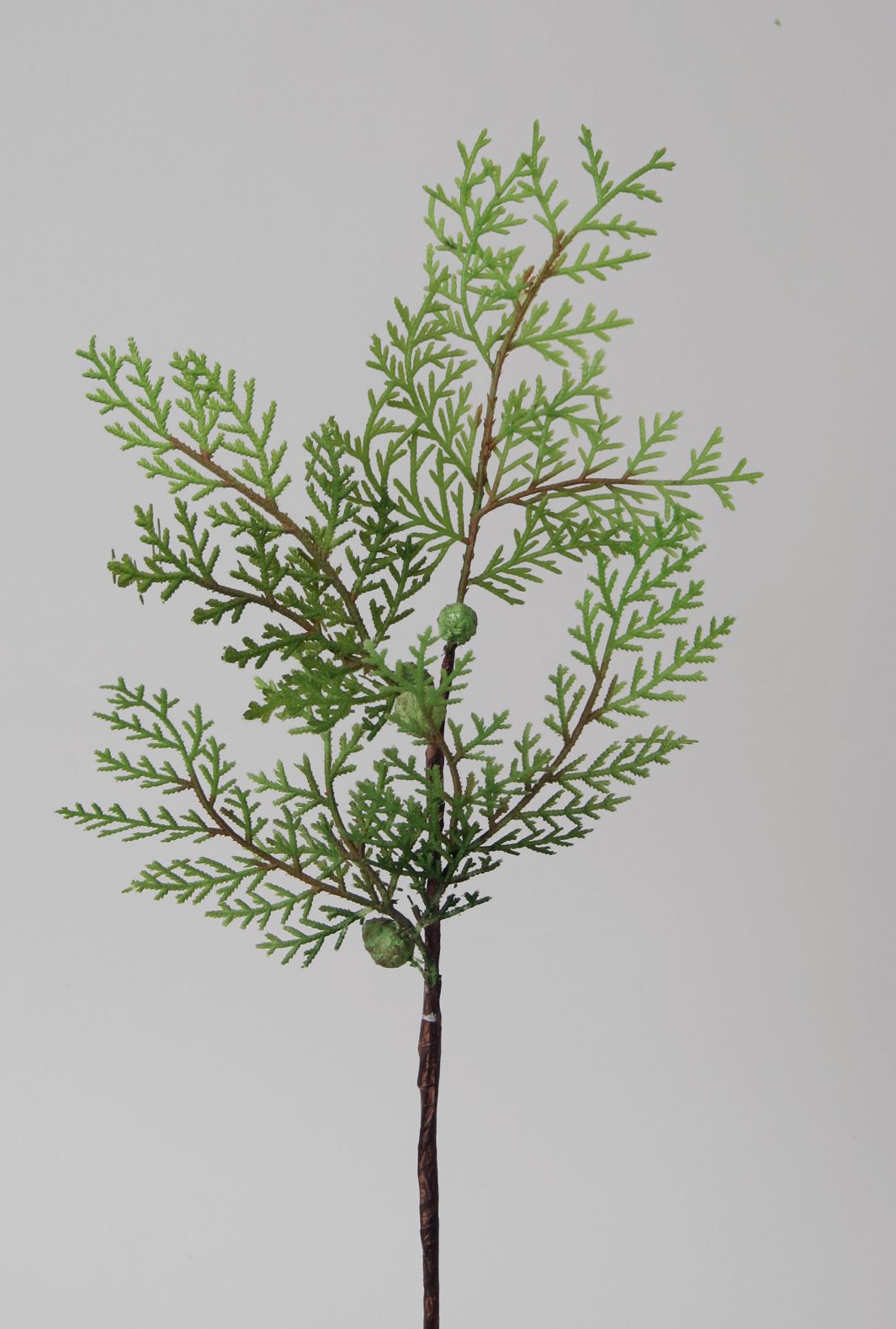 Cedar pick 