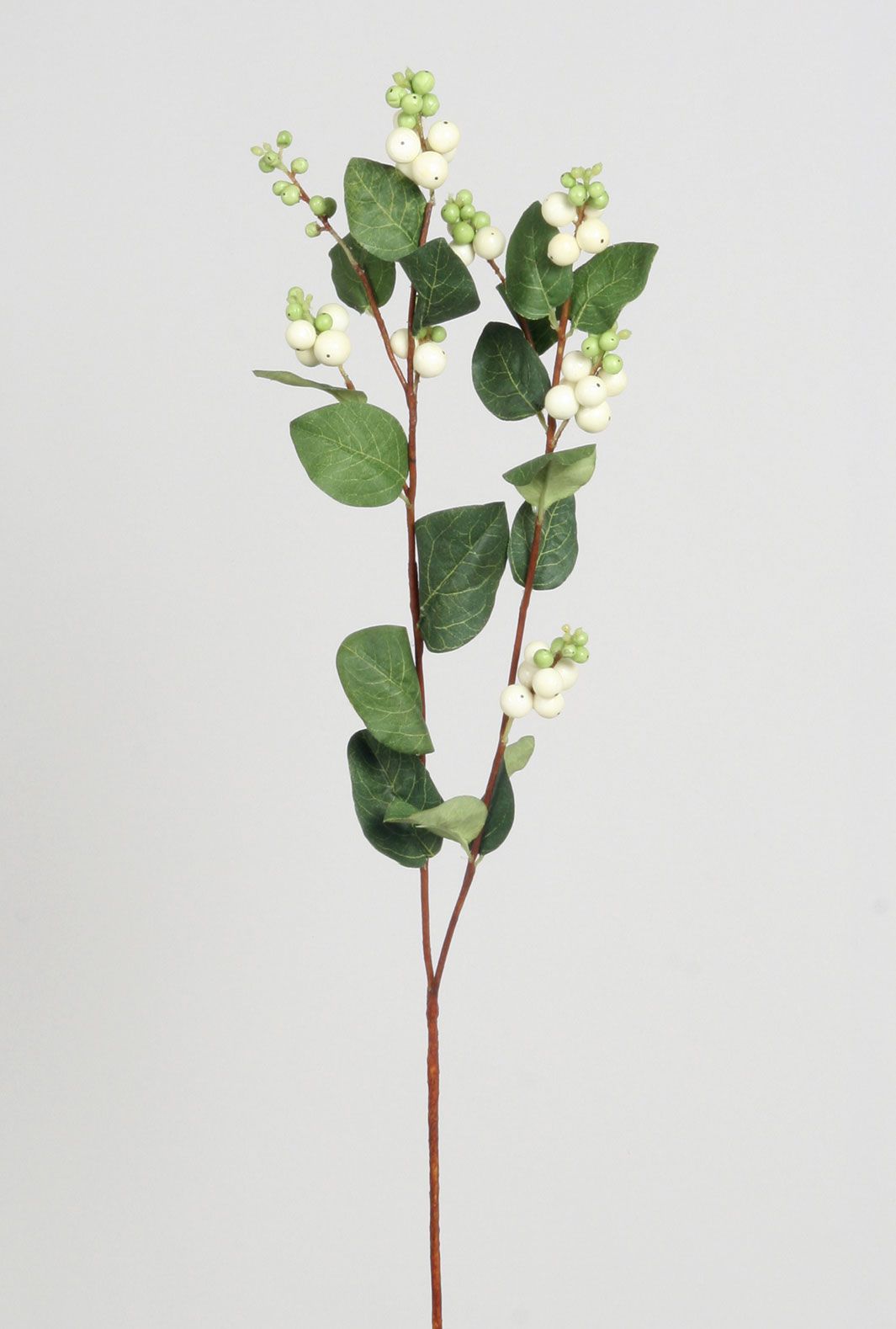 snowberry spray white 