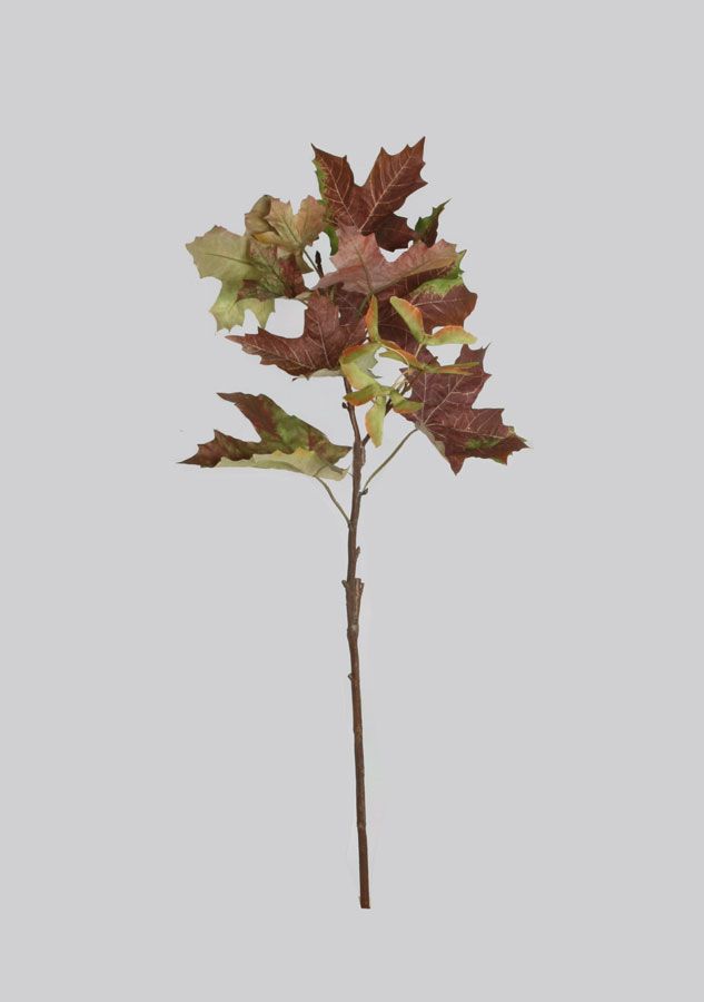 maple spray 