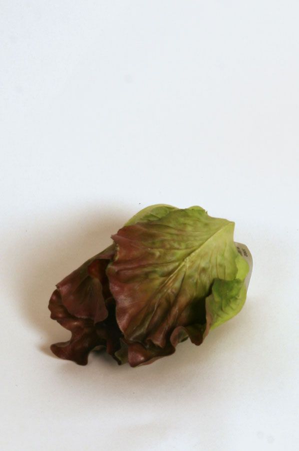 lettuce 