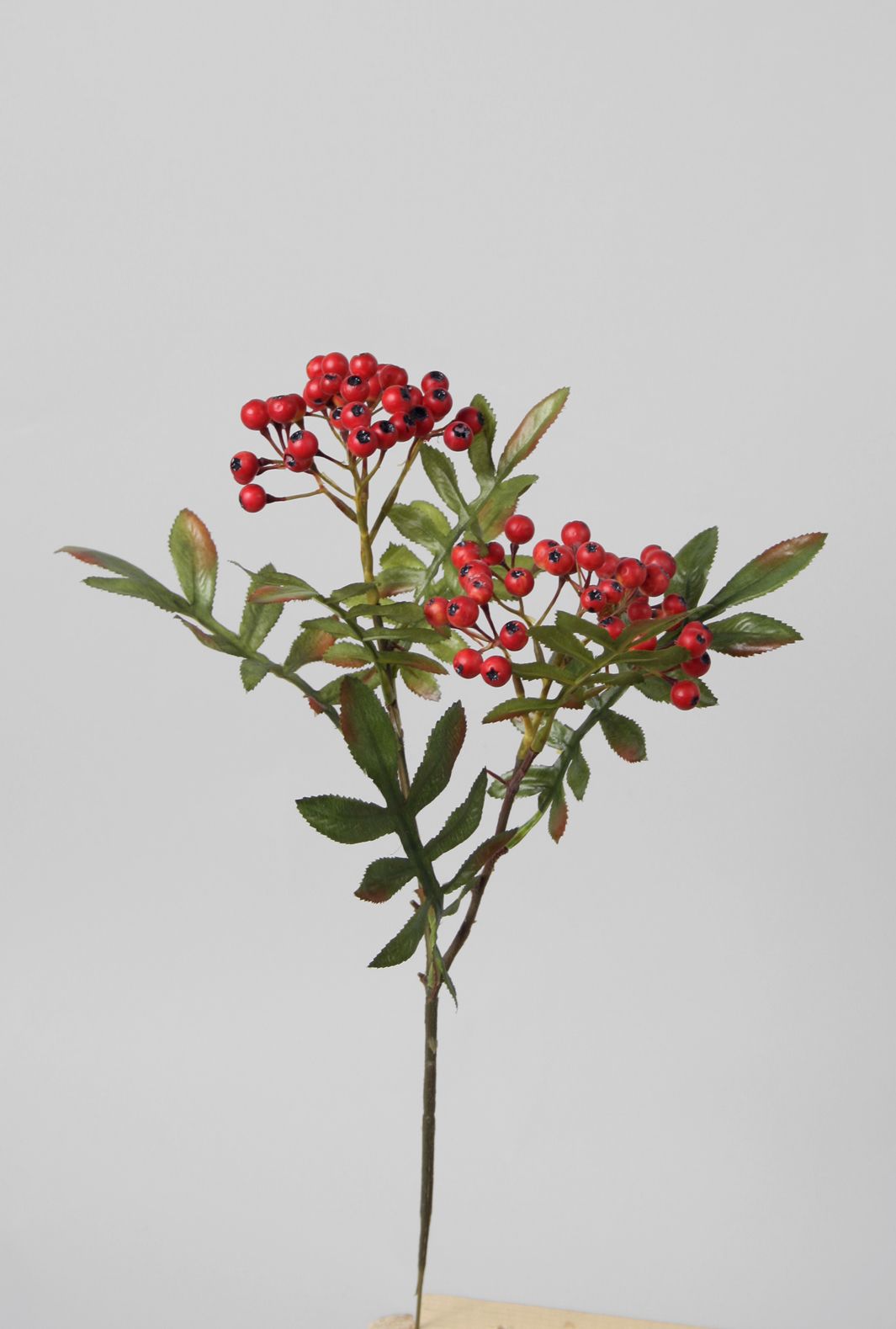 Rowan Berry