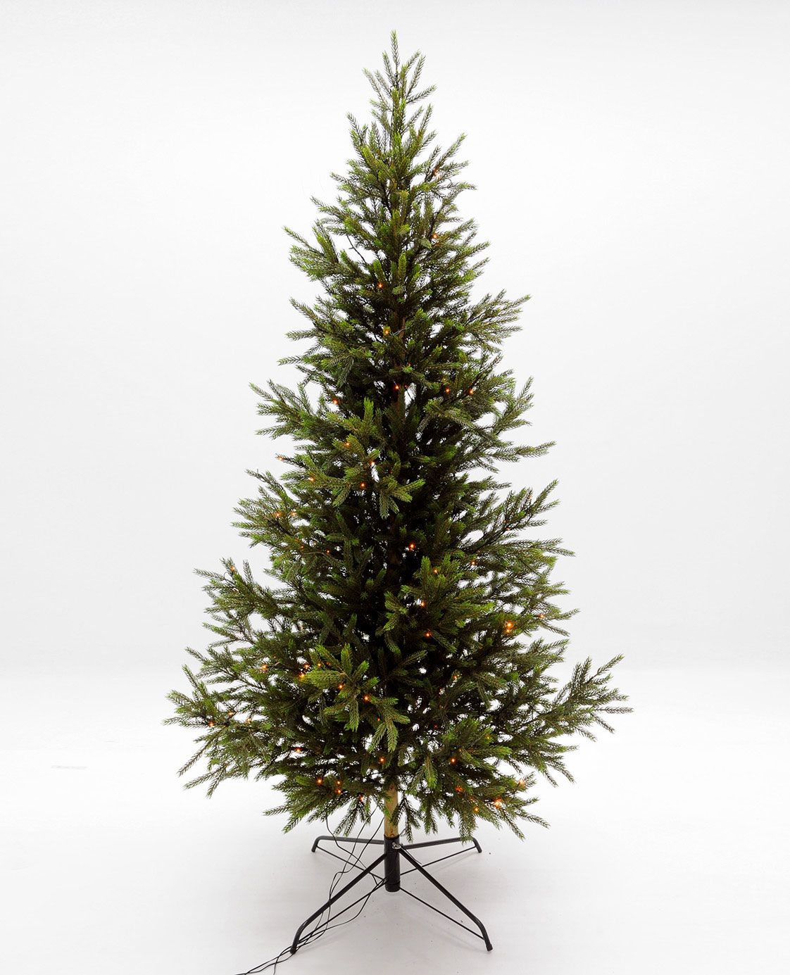 Picea pine tree with lights