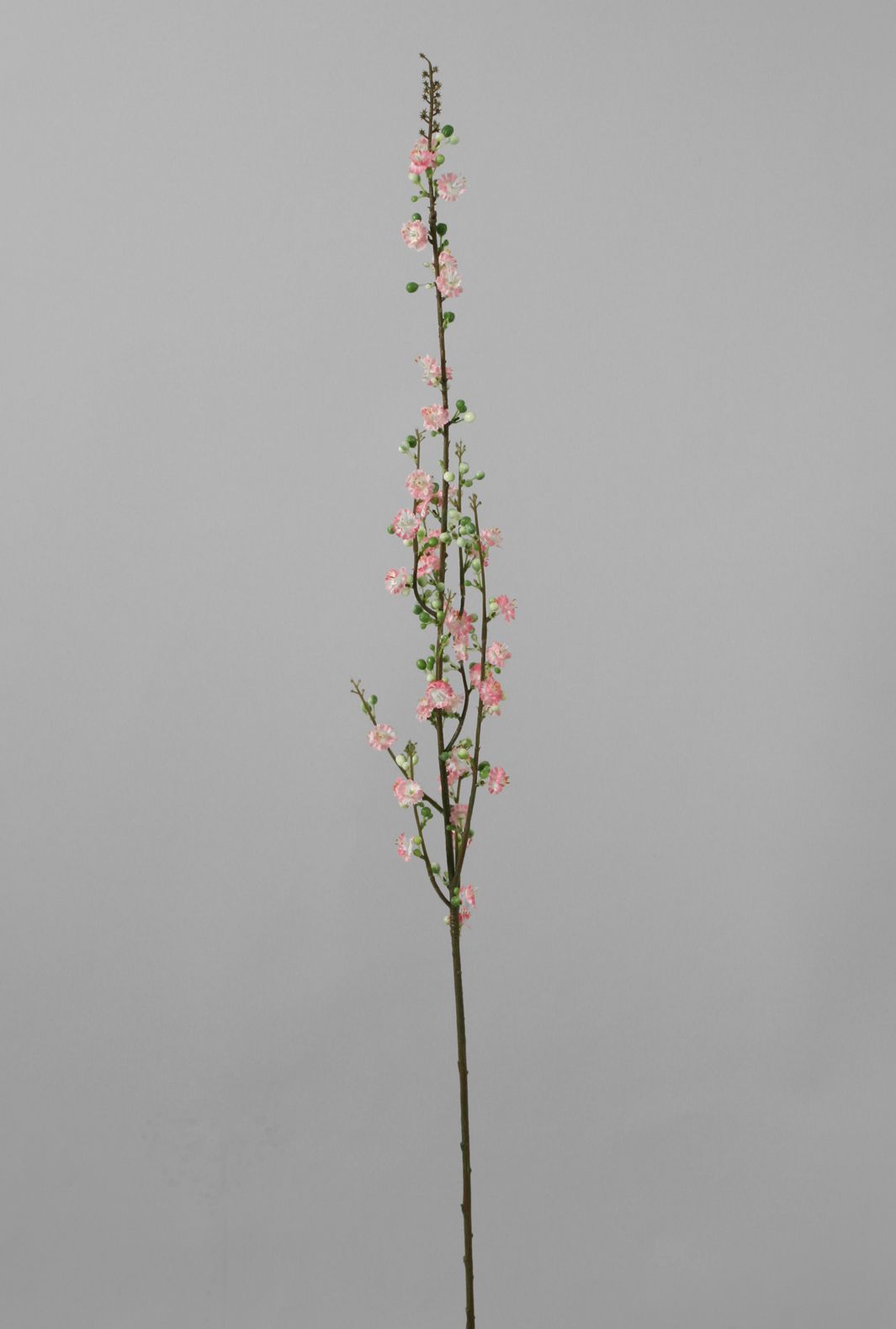 Prunus spray