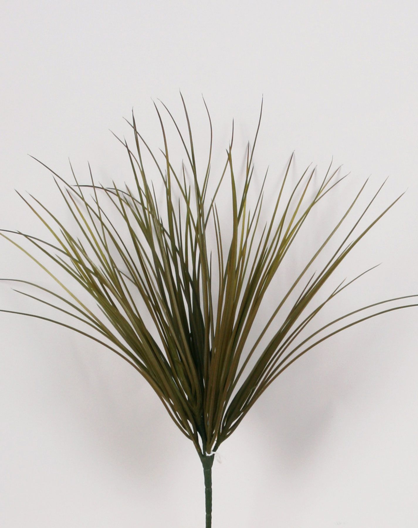 Grass  