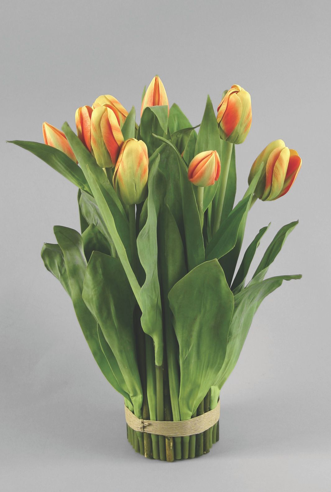 Tulip Bundle