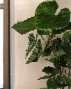week15.webp