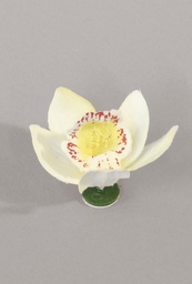 [622g] Floating Orchids (Alternative 2)