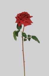 [4514] Rose (Alternative 1)