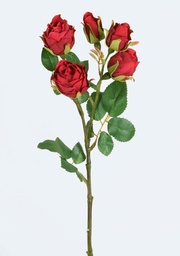 [7218] Rose (Alternative 3)