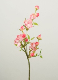 [7252] Peach Blossom (Alternative 2)