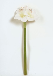 [7238] Amaryllis (Alternative 1)