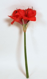 [7222] Amaryllis (Alternative 2)