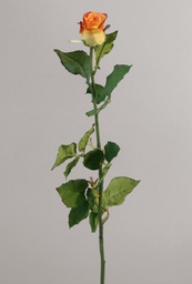 [9140-1] Rose (Alternative 1)